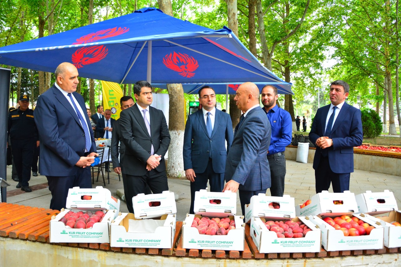 Ağstafada Məhsul bayramı keçirilib - FOTOLAR